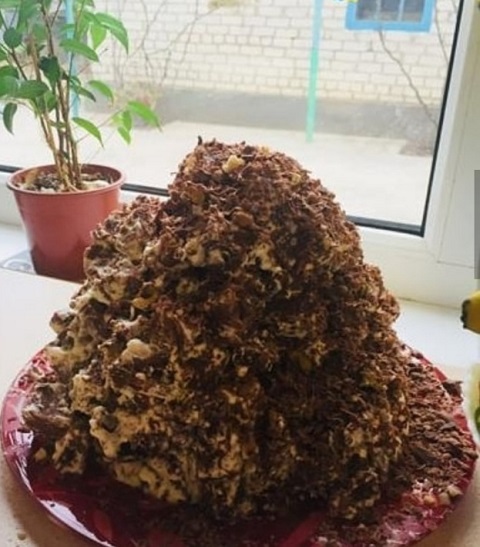 pirogi 2