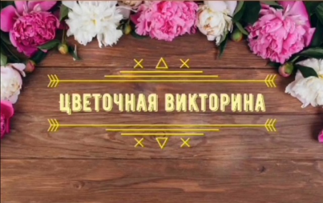 viktori 20201110 152721