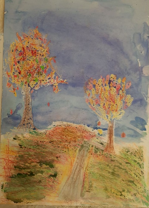 osenn20201226 1