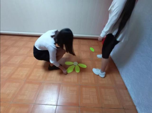 linii202220215 3