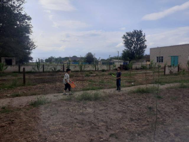 IMG 084957 688 2